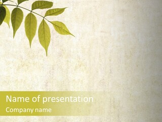 Lovely Background Image With Interesting Earthy Texture, Close-Up Of Leaves And Plenty Of Space For Text PowerPoint Template