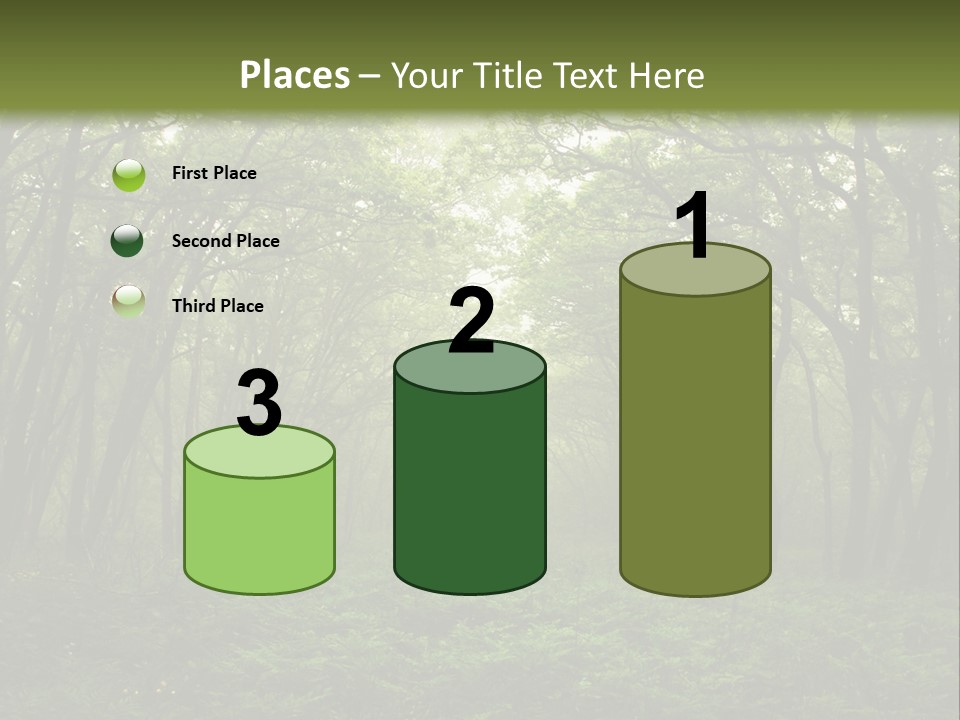 Forest Mystic Way, Primorye, Russia PowerPoint Template