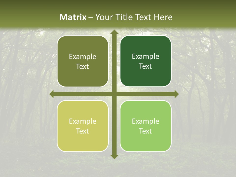 Forest Mystic Way, Primorye, Russia PowerPoint Template