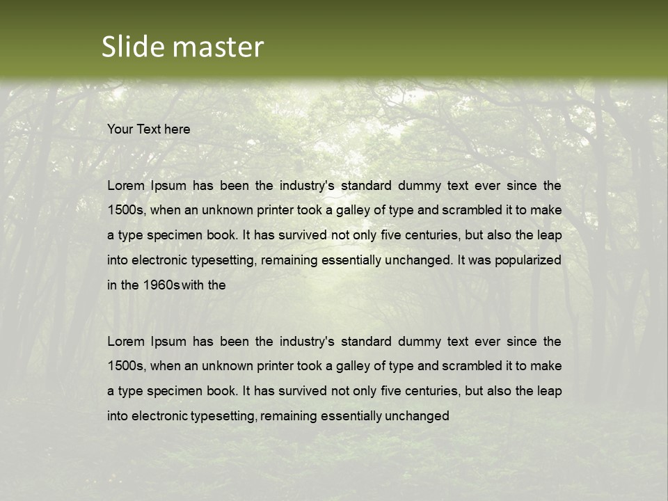 Forest Mystic Way, Primorye, Russia PowerPoint Template