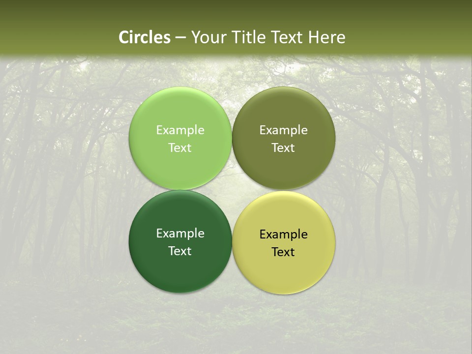 Forest Mystic Way, Primorye, Russia PowerPoint Template