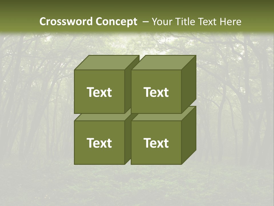 Forest Mystic Way, Primorye, Russia PowerPoint Template