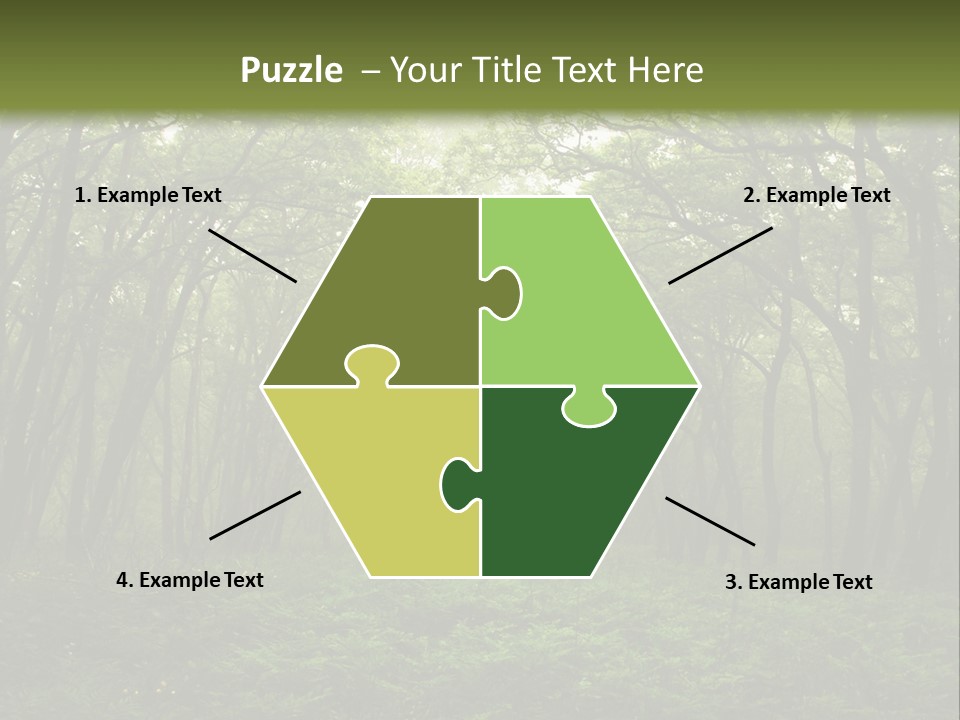 Forest Mystic Way, Primorye, Russia PowerPoint Template