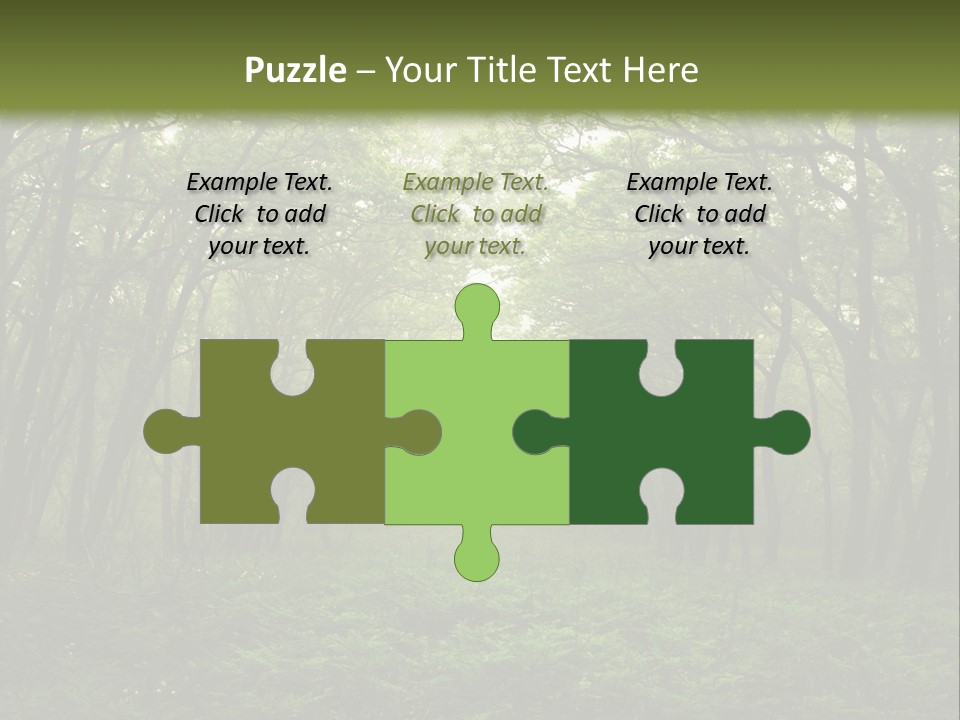 Forest Mystic Way, Primorye, Russia PowerPoint Template