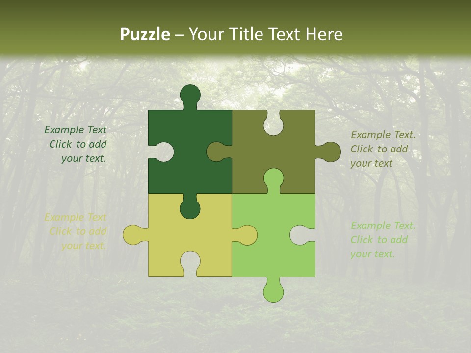 Forest Mystic Way, Primorye, Russia PowerPoint Template