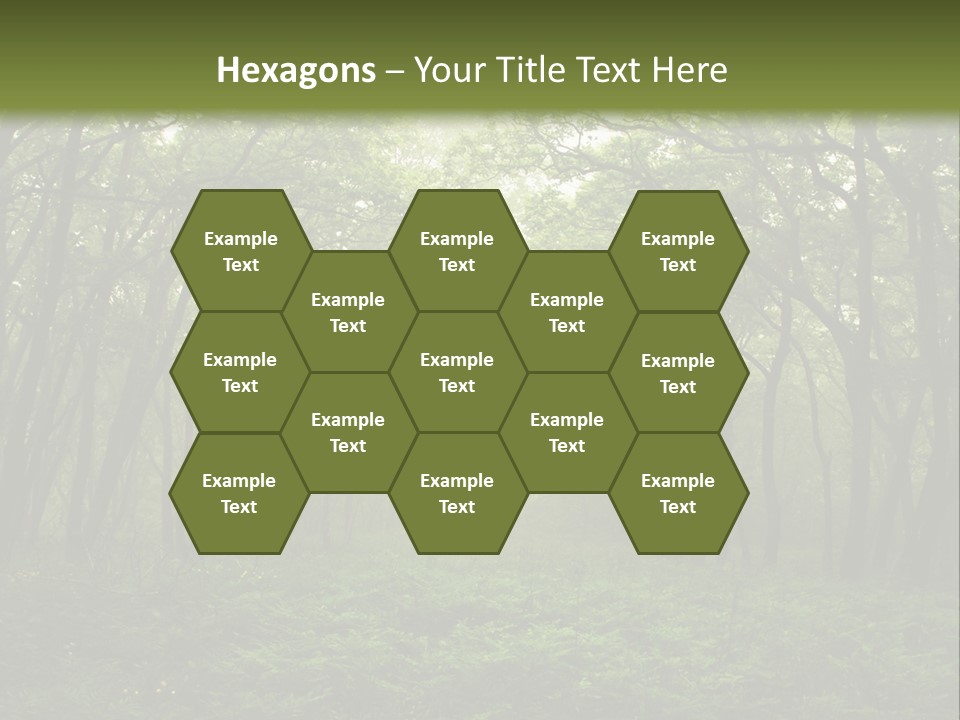 Forest Mystic Way, Primorye, Russia PowerPoint Template