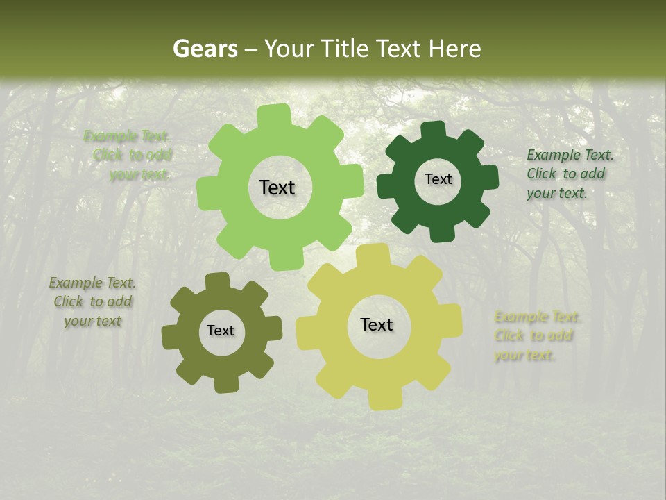 Forest Mystic Way, Primorye, Russia PowerPoint Template