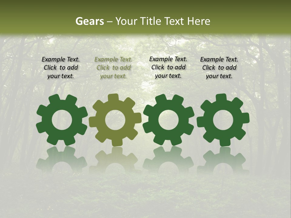 Forest Mystic Way, Primorye, Russia PowerPoint Template