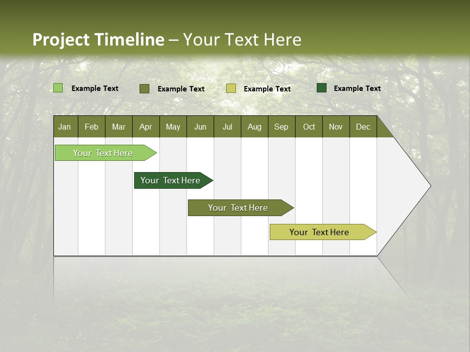 Forest Mystic Way, Primorye, Russia PowerPoint Template