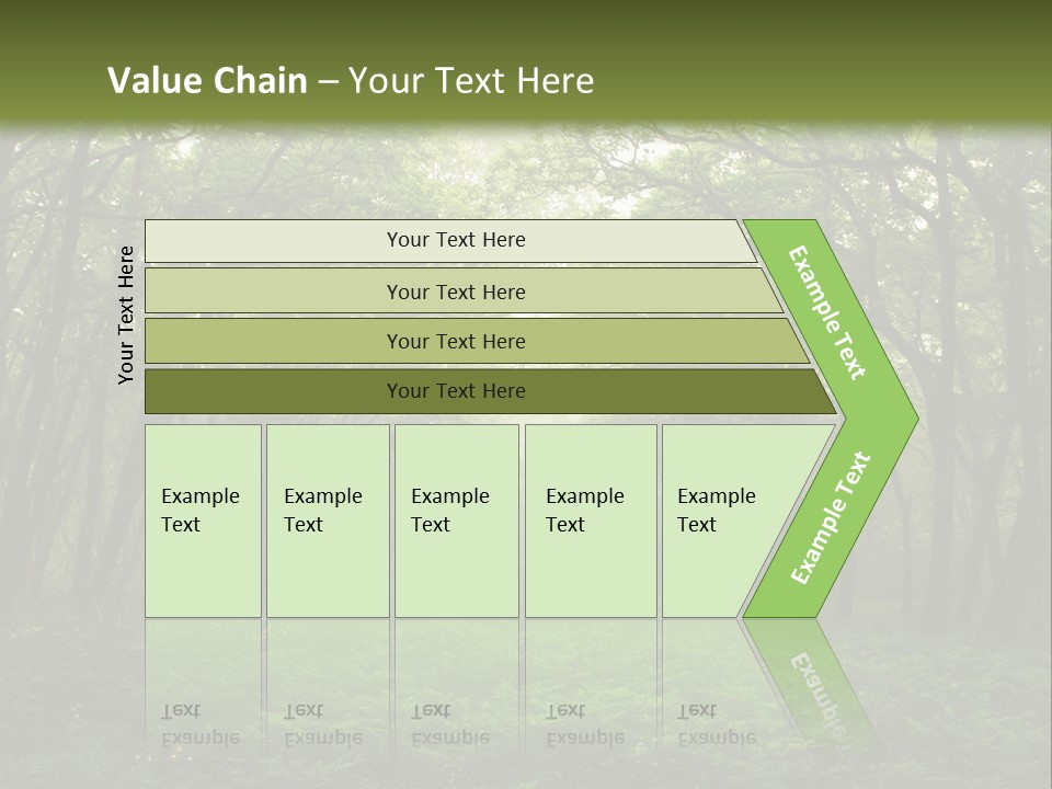 Forest Mystic Way, Primorye, Russia PowerPoint Template