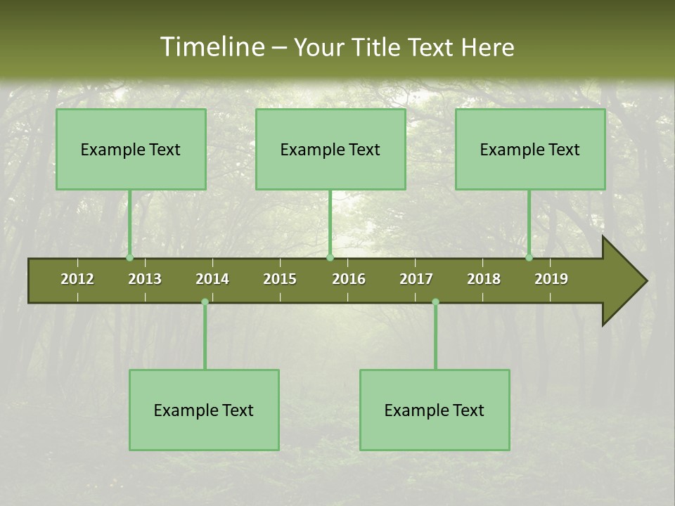Forest Mystic Way, Primorye, Russia PowerPoint Template