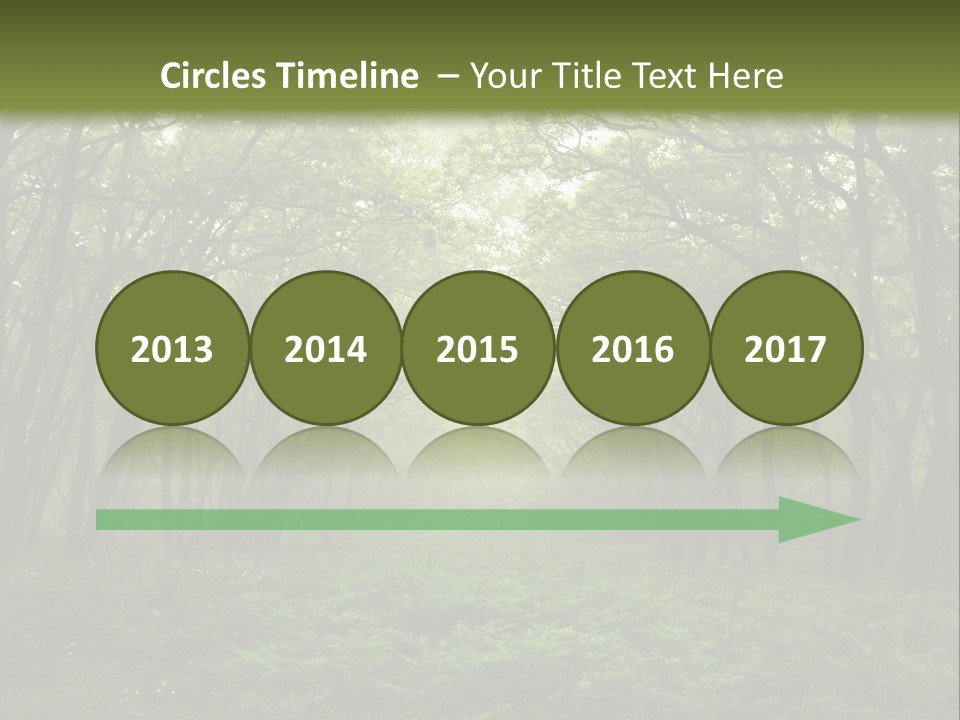 Forest Mystic Way, Primorye, Russia PowerPoint Template