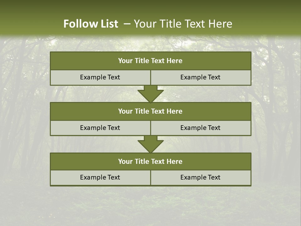 Forest Mystic Way, Primorye, Russia PowerPoint Template