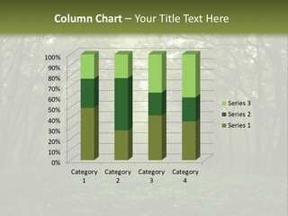 Forest Mystic Way, Primorye, Russia PowerPoint Template