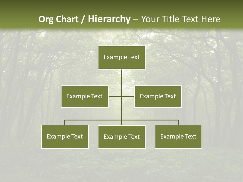 Forest Mystic Way, Primorye, Russia PowerPoint Template