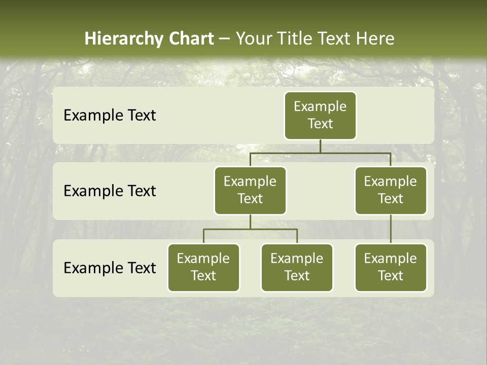 Forest Mystic Way, Primorye, Russia PowerPoint Template