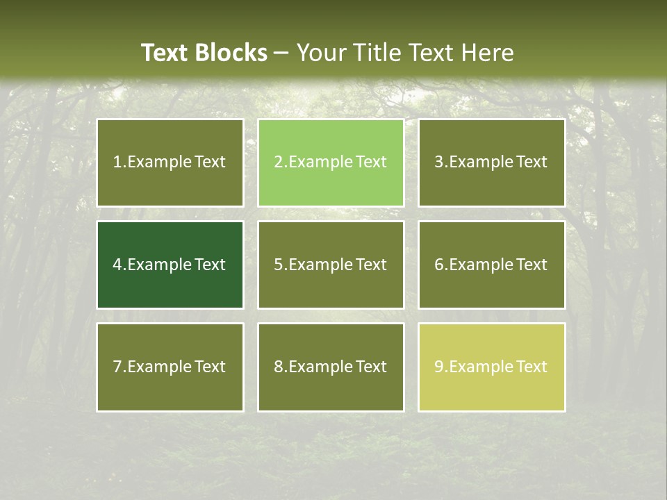 Forest Mystic Way, Primorye, Russia PowerPoint Template