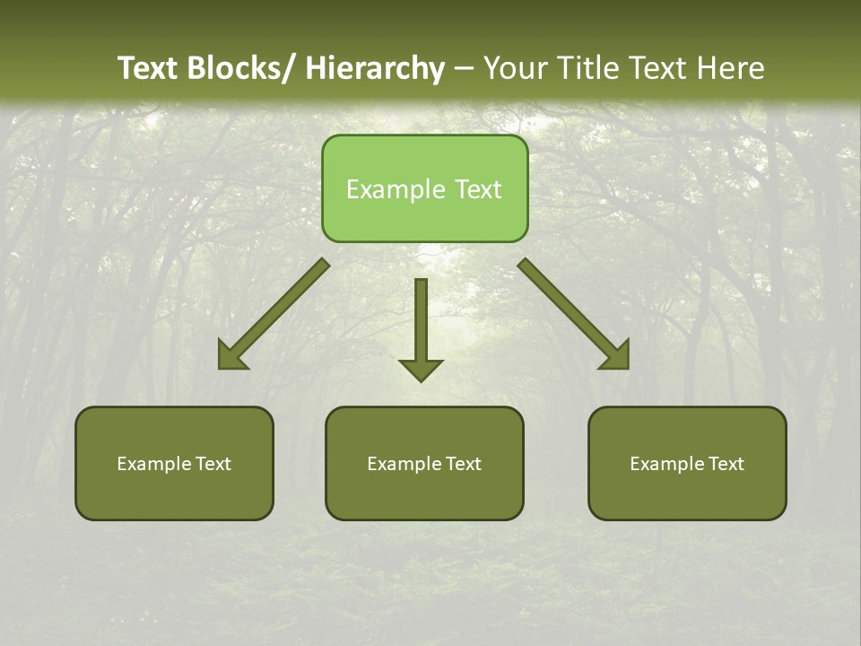 Forest Mystic Way, Primorye, Russia PowerPoint Template