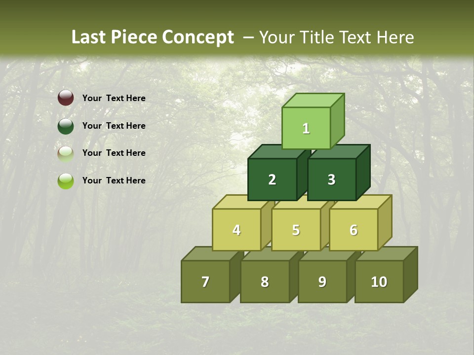 Forest Mystic Way, Primorye, Russia PowerPoint Template