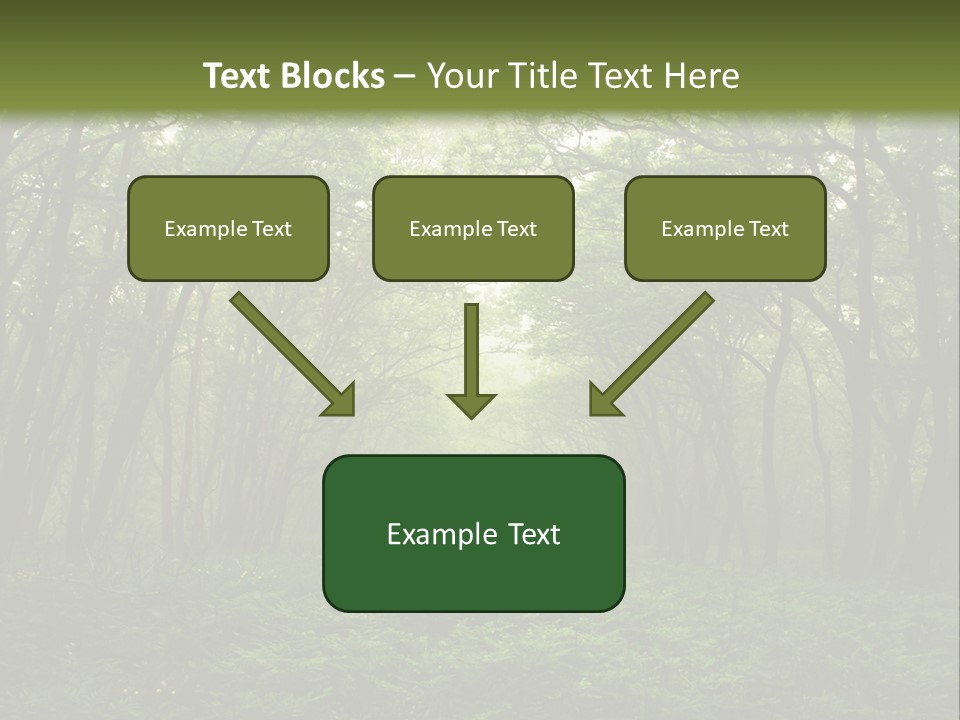 Forest Mystic Way, Primorye, Russia PowerPoint Template
