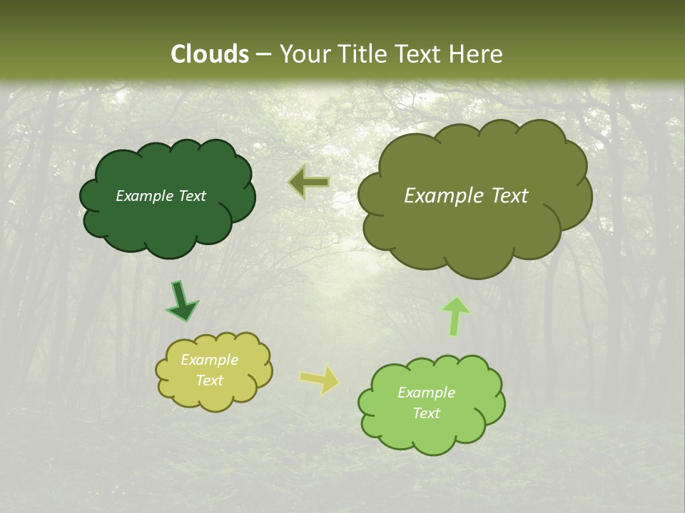 Forest Mystic Way, Primorye, Russia PowerPoint Template