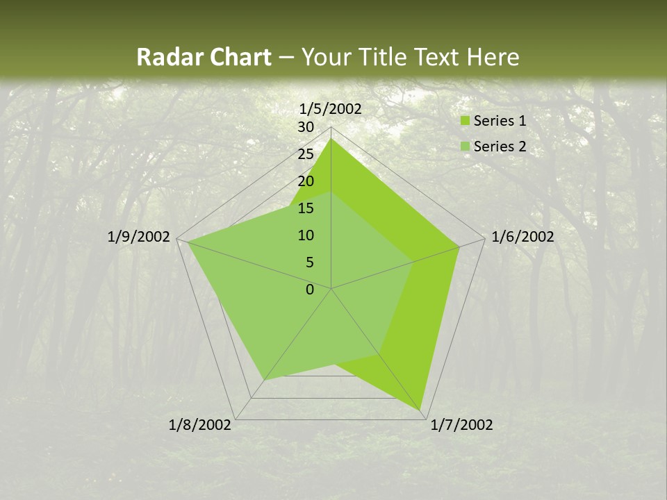 Forest Mystic Way, Primorye, Russia PowerPoint Template