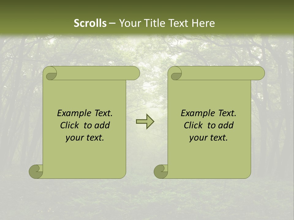 Forest Mystic Way, Primorye, Russia PowerPoint Template