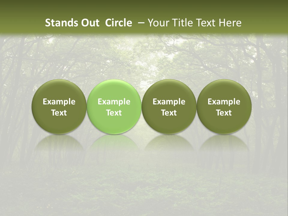 Forest Mystic Way, Primorye, Russia PowerPoint Template