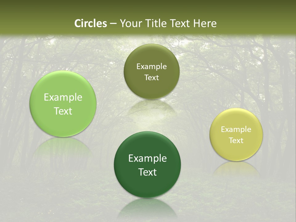 Forest Mystic Way, Primorye, Russia PowerPoint Template