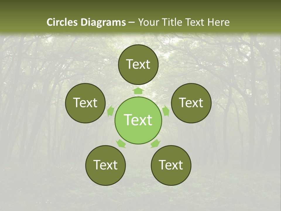 Forest Mystic Way, Primorye, Russia PowerPoint Template