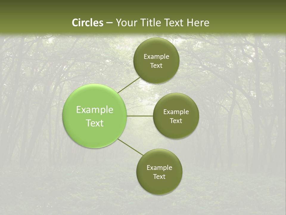 Forest Mystic Way, Primorye, Russia PowerPoint Template