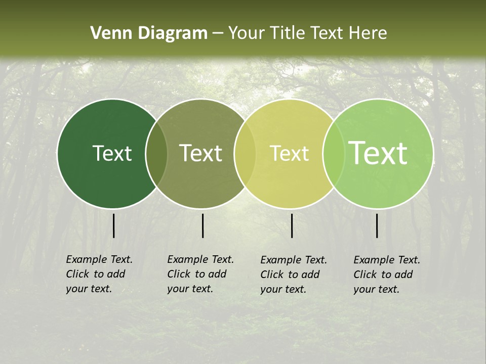 Forest Mystic Way, Primorye, Russia PowerPoint Template