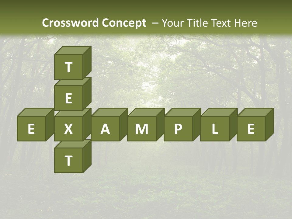 Forest Mystic Way, Primorye, Russia PowerPoint Template