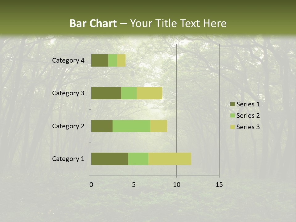 Forest Mystic Way, Primorye, Russia PowerPoint Template