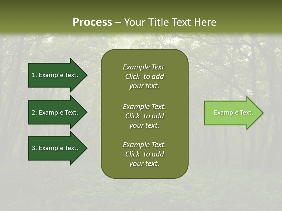 Forest Mystic Way, Primorye, Russia PowerPoint Template