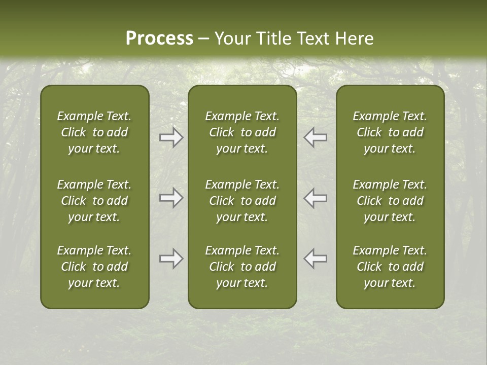 Forest Mystic Way, Primorye, Russia PowerPoint Template