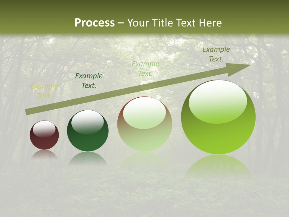 Forest Mystic Way, Primorye, Russia PowerPoint Template