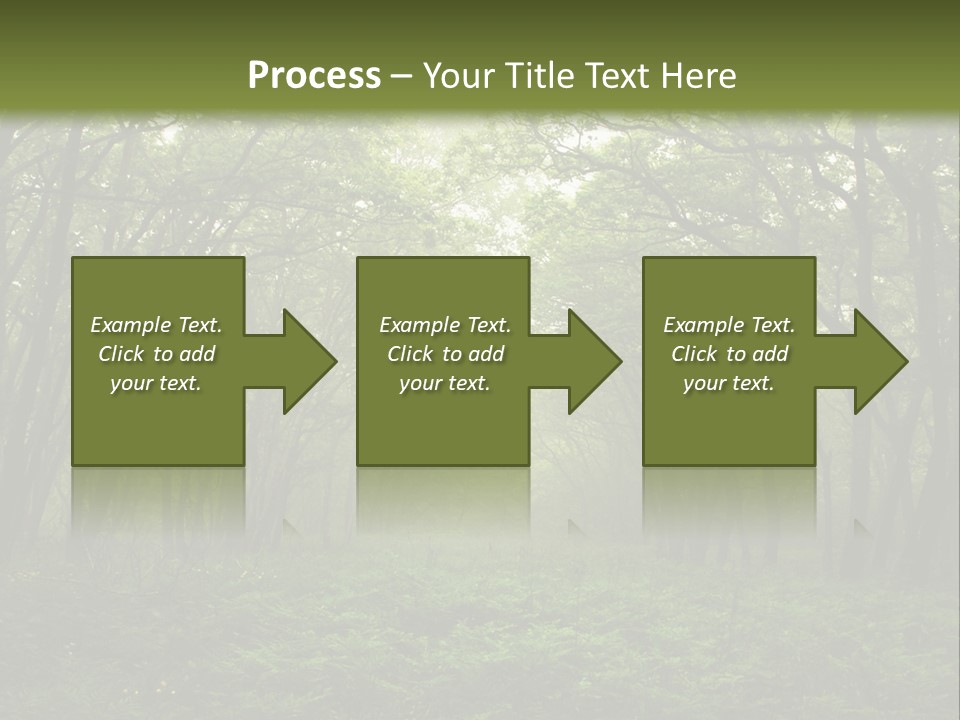 Forest Mystic Way, Primorye, Russia PowerPoint Template