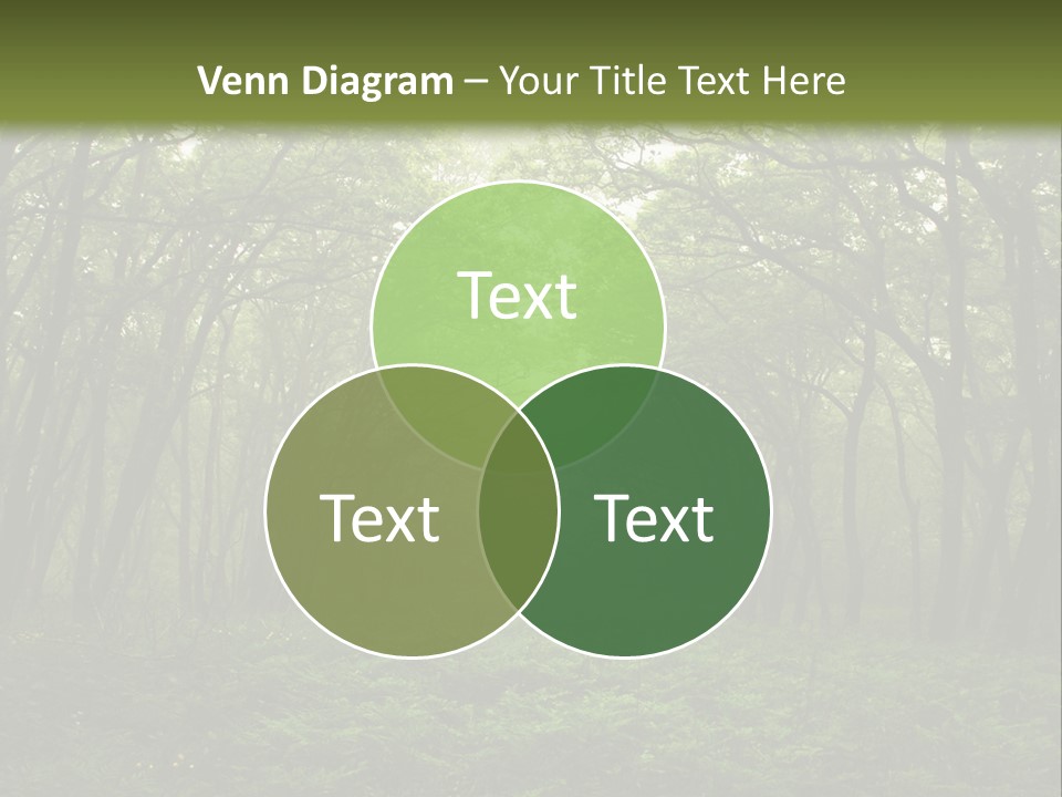 Forest Mystic Way, Primorye, Russia PowerPoint Template