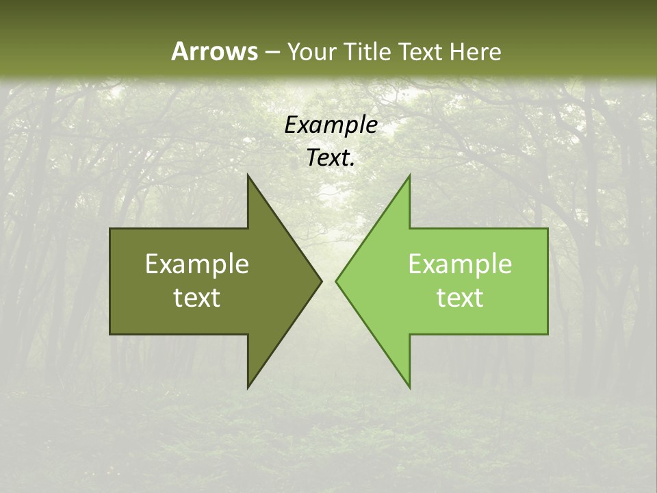 Forest Mystic Way, Primorye, Russia PowerPoint Template