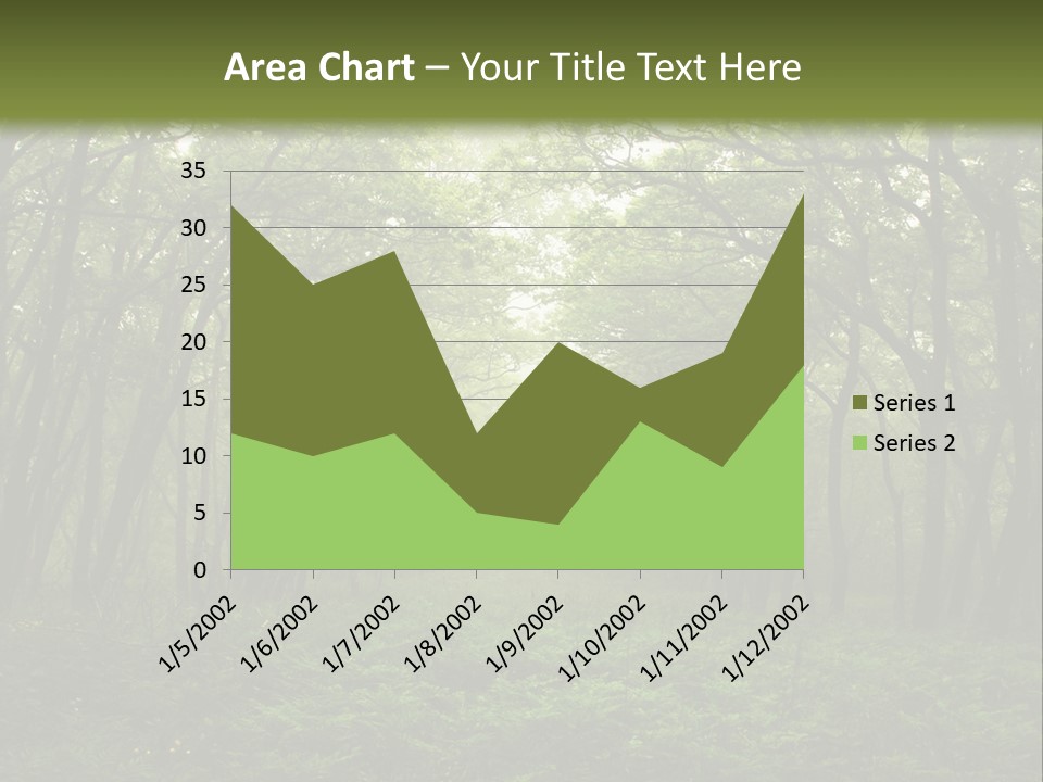 Forest Mystic Way, Primorye, Russia PowerPoint Template