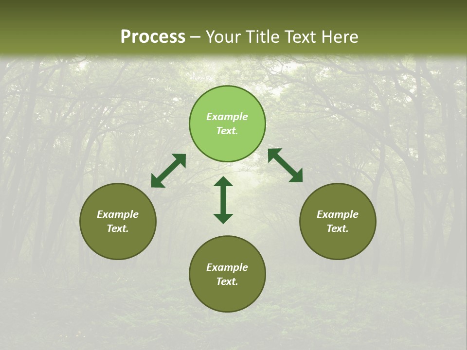 Forest Mystic Way, Primorye, Russia PowerPoint Template
