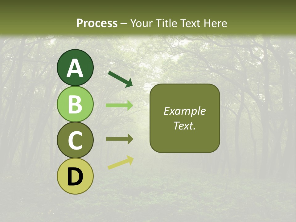 Forest Mystic Way, Primorye, Russia PowerPoint Template