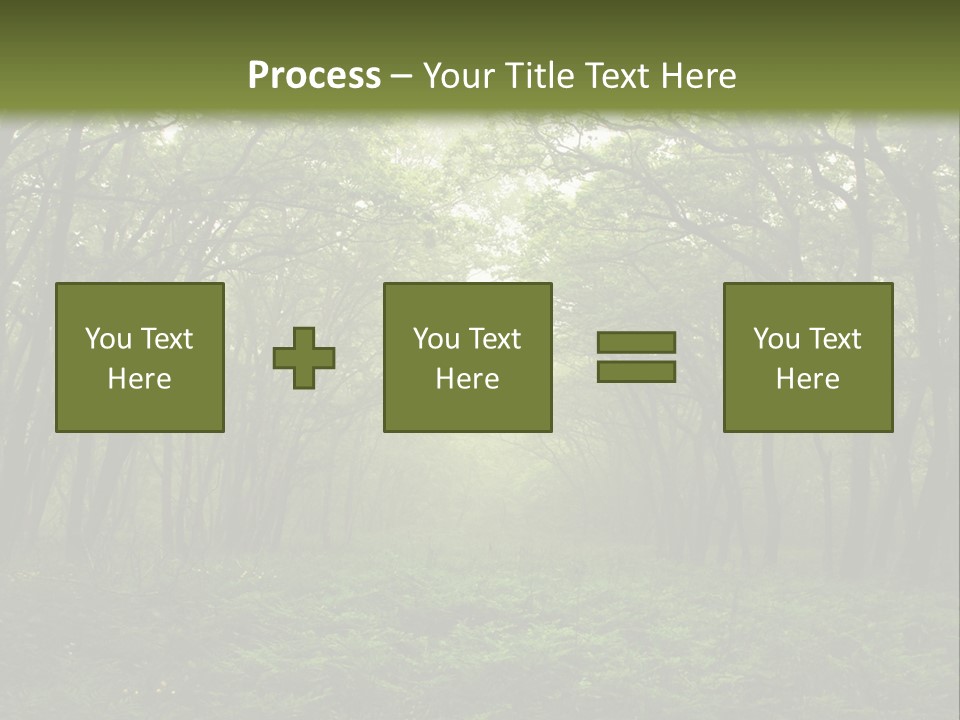 Forest Mystic Way, Primorye, Russia PowerPoint Template