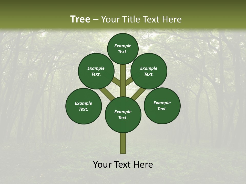 Forest Mystic Way, Primorye, Russia PowerPoint Template