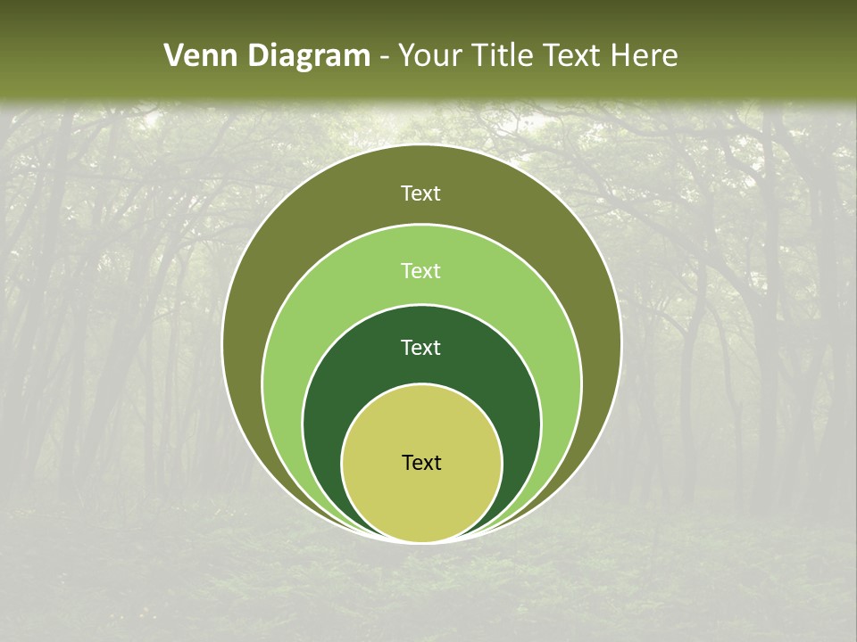 Forest Mystic Way, Primorye, Russia PowerPoint Template