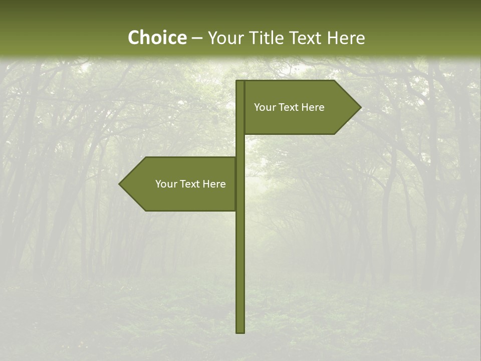 Forest Mystic Way, Primorye, Russia PowerPoint Template