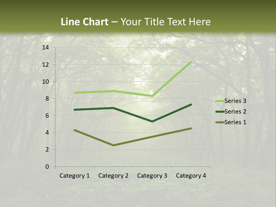 Forest Mystic Way, Primorye, Russia PowerPoint Template