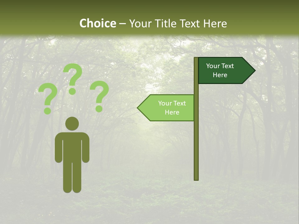 Forest Mystic Way, Primorye, Russia PowerPoint Template