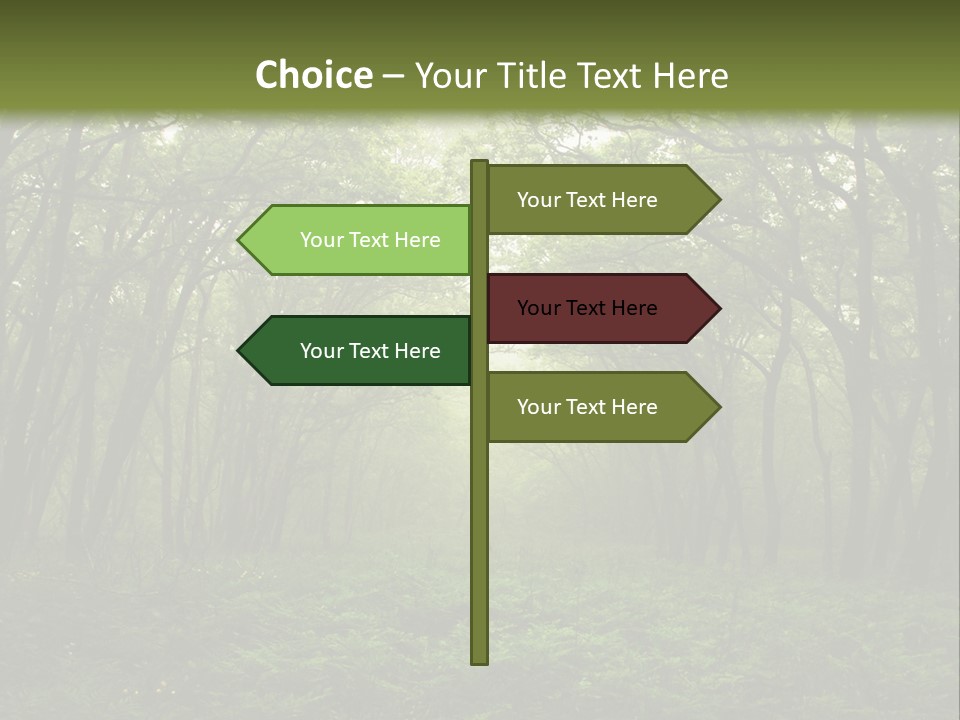 Forest Mystic Way, Primorye, Russia PowerPoint Template